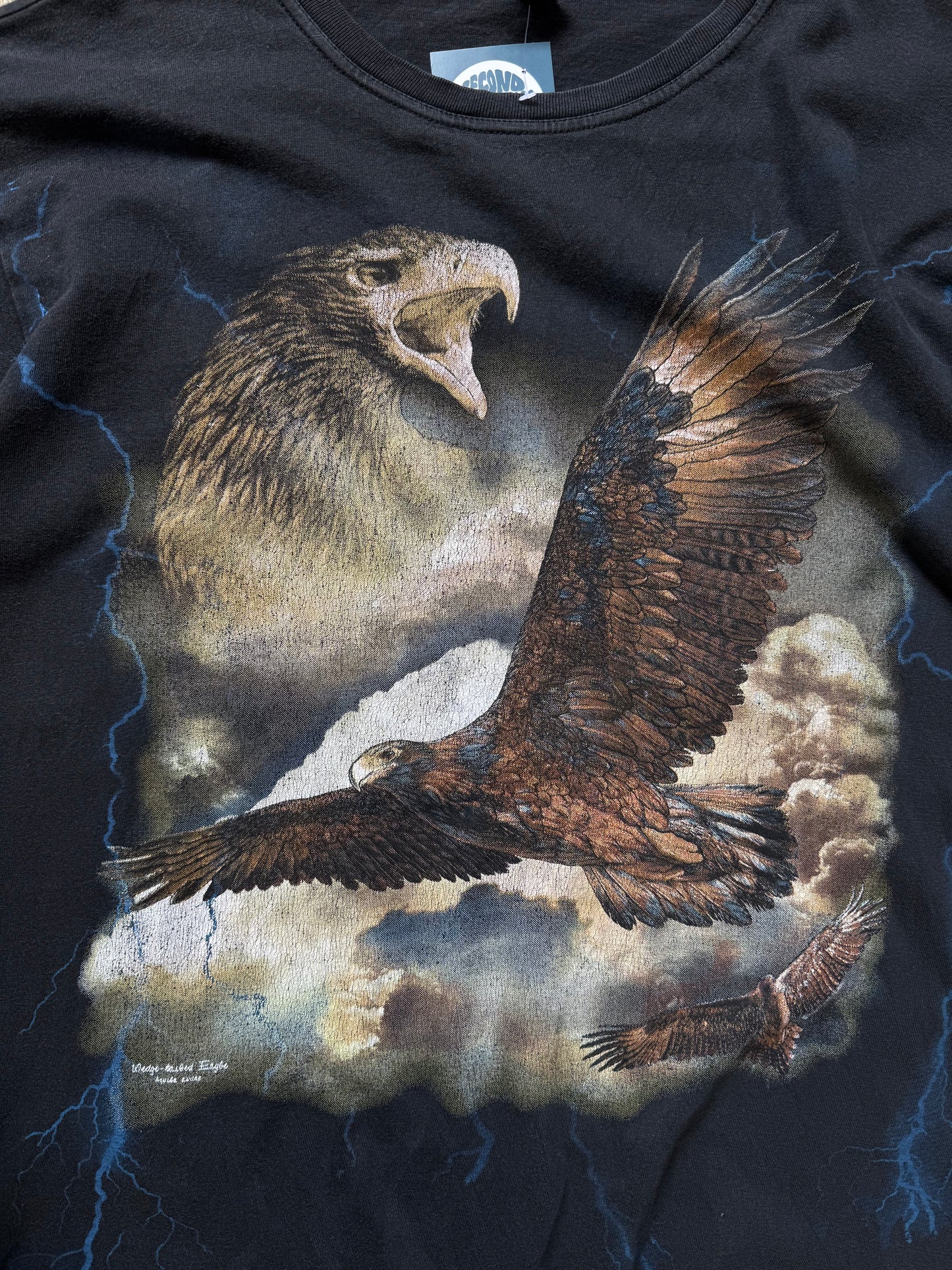 Australia Eagle Wild Life black shirt